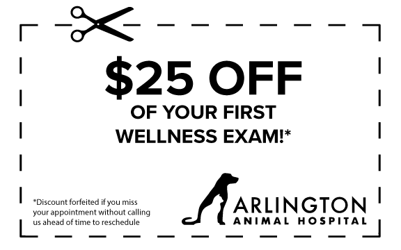 $25 Off First Wellness Exam Coupon