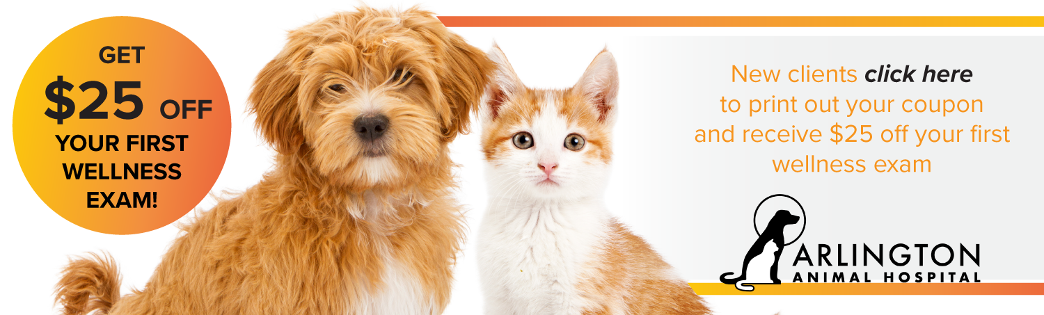 Arlington Animal Hospital Coupon Promotion