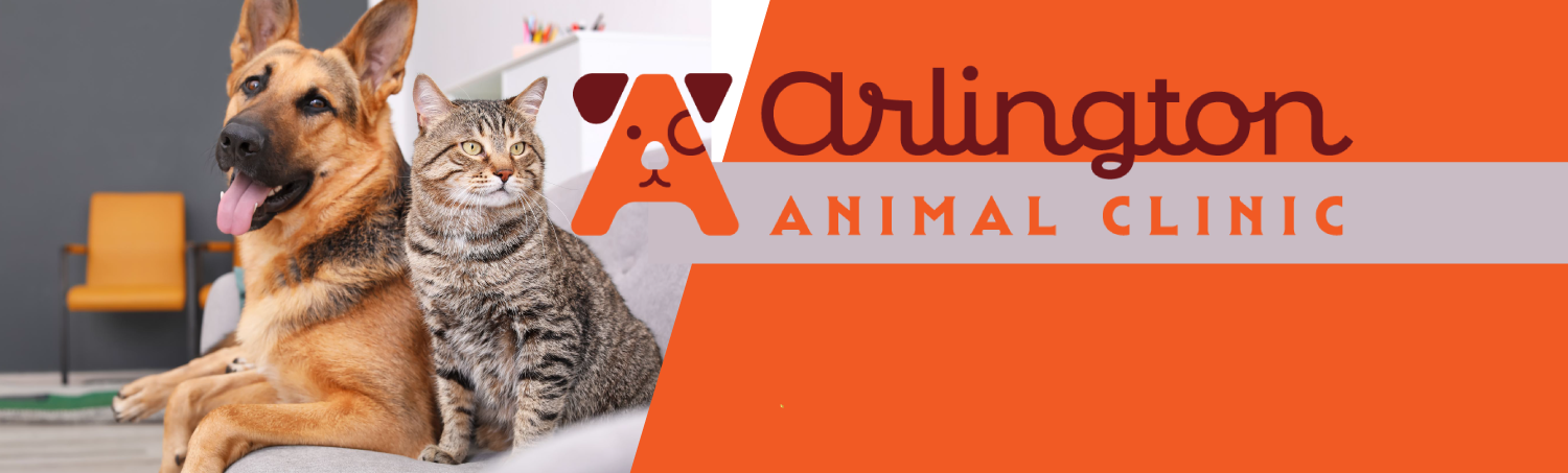 Arlington Animal Clinic - cat and dog